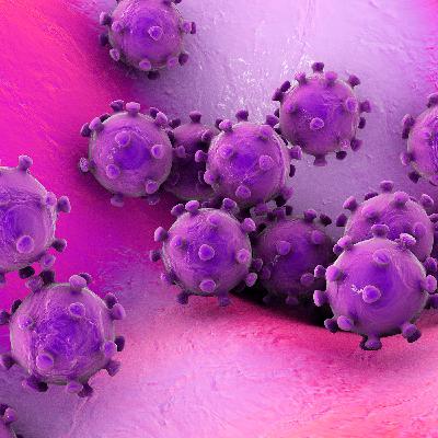 Investigating the New Coronavirus with Karla Satchell, PhD