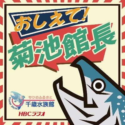 第6回