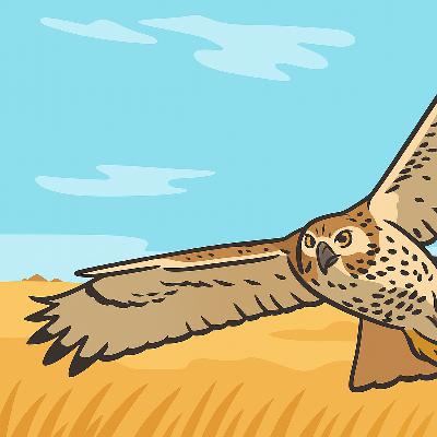 S4E40: The Battle for the San Rafael Valley S4E40: The Battle for the San Rafael Valley