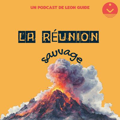 Le Piton de la Fournaise : l'un des volcans les plus actifs au monde