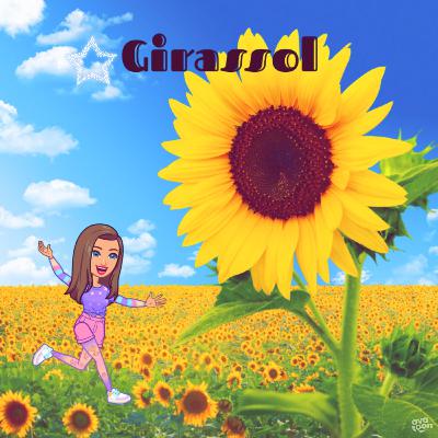 Girassol (Pricila Alcântara) Girassol (Pricila Alcântara)