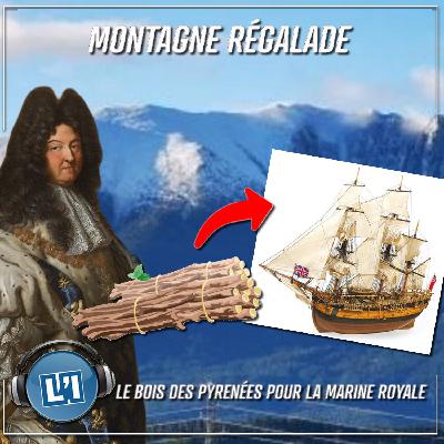 LE BOIS DES PYRÉNÉES POUR LA MARINE ROYALE DE LOUIS XIV