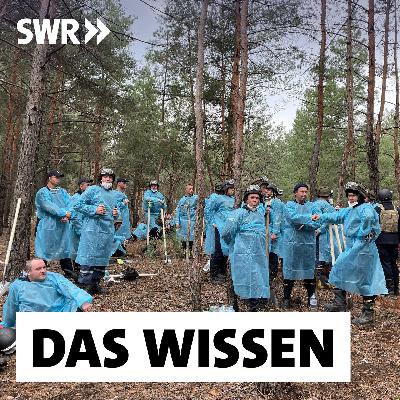 Russisch besetzte Gebiete in der Ukraine – Folgen für die Bevölkerung