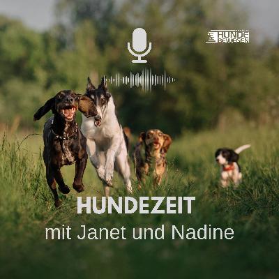 Die ersten Tage mit dem Tierschutzhund Die ersten Tage mit dem Tierschutzhund