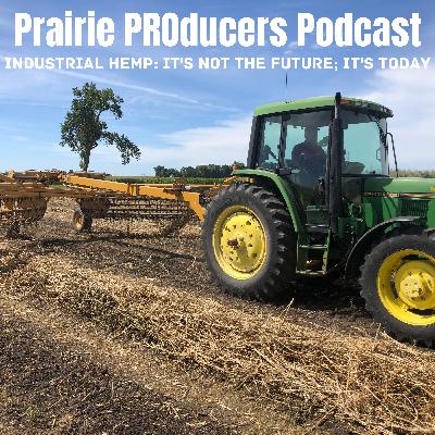 Our first Harvest with Mike Marks, Prairie PROducers' Field Supervisor Our first Harvest with Mike Marks, Prairie PROducers' Field Supervisor
