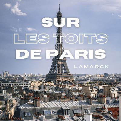 Et si on changeait notre regard sur la responsabilité d'entreprise ? Ruxandra IONESCU & Maxime GUIBET