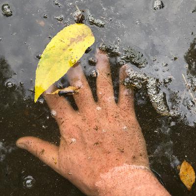 Ep. 271 : Sensual engagement with the land