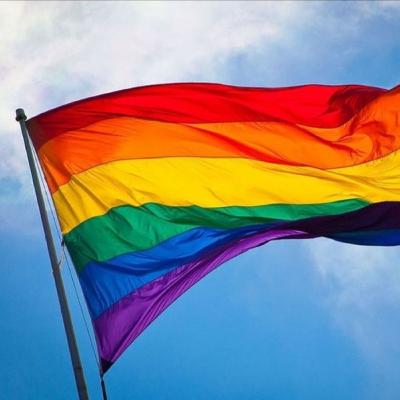 Día internacional contra la homofobia, transfobia y la bifobia