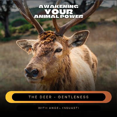 The Deer as your Power Animal