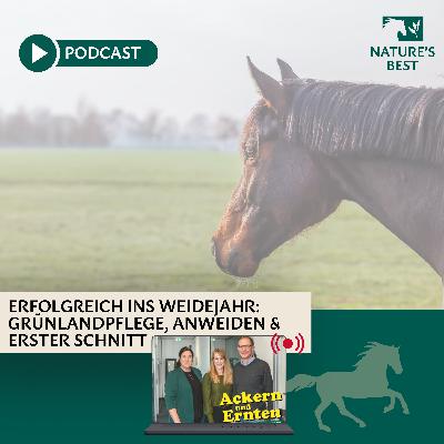 Erfolgreich ins Weidejahr starten
