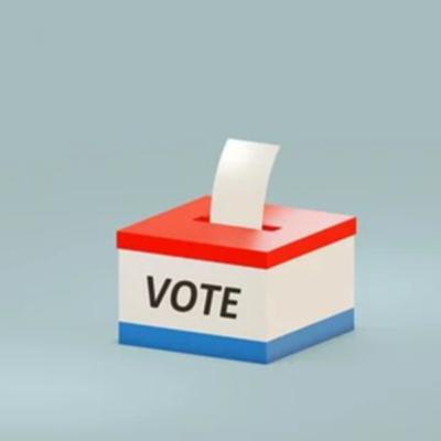Voting and the American Democratic Process Voting and the American Democratic Process