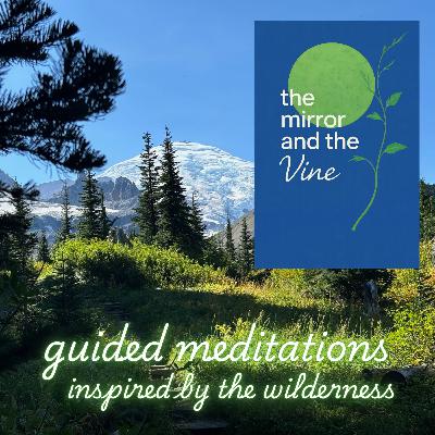 A Quiet Journey Into an Alpine Meadow of Wildflowers: Softening Into Mind–Body Awareness with Guided Meditation