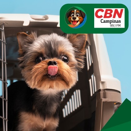 ✨ Pet News CBN | Por Francis Flosi ✨