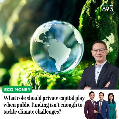 Eco Money: What role should private capital play when public funding isn’t enough to tackle climate challenges?