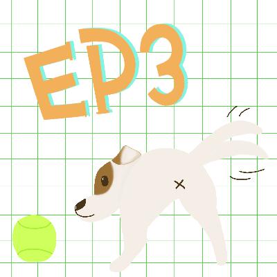 EP3【關於治療】海中療癒動物—海豚療法？水療？