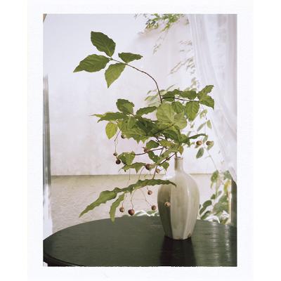 【第6回】吊花