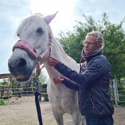 Dein Pferd hustet? Schuld ist oft der Darm!
