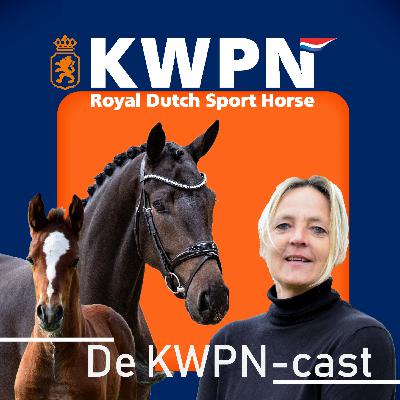 Henk Hammers, over zijn rol als trainingsleider, de EPTM en tuigpaarden