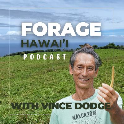 Eating Kiawe with Vince Kana'i Dodge of Wai'anae Gold Eating Kiawe with Vince Kana'i Dodge of Wai'anae Gold