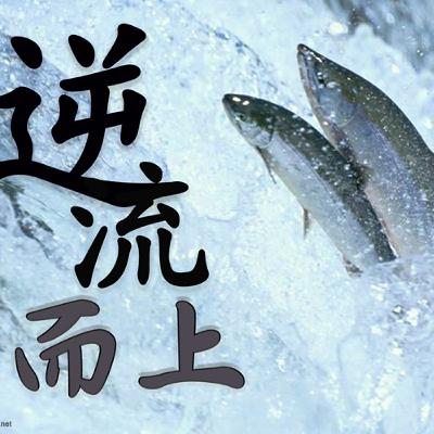 ser092 逆流而上 ser092 逆流而上