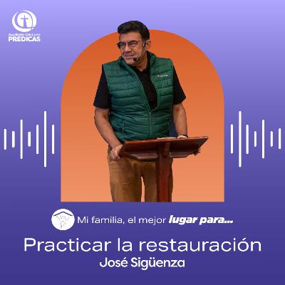 347 - Practicar la restauración - Pastor José Sigüenza 347 - Practicar la restauración - Pastor José Sigüenza