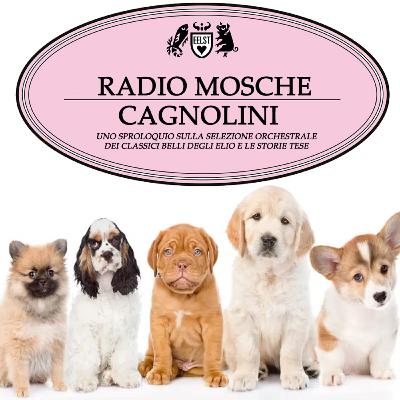 Radio Mosche - Puntata 40: Cagnolini