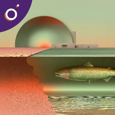 Ferme à saumons : fantasme écocidaire ou projet rationnel ? Ferme à saumons : fantasme écocidaire ou projet rationnel ?