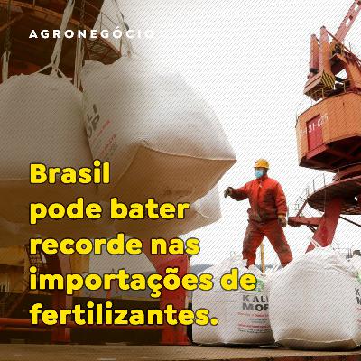Brasil pode bater recorde nas importações de fertilizantes