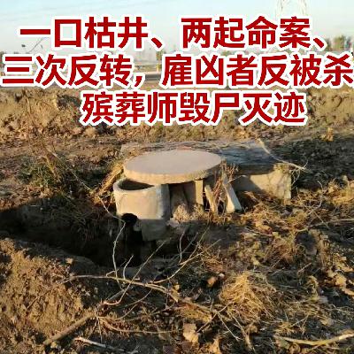 140.（上集）一口枯井、两起命案、三次反转，雇凶者反被杀，殡葬师毁尸灭迹
