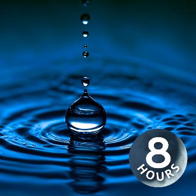 Rain Sounds for Sleeping | 8 Hour Pitter-Patter Pond Sound