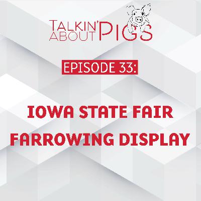 Iowa State Fair Farrowing Display