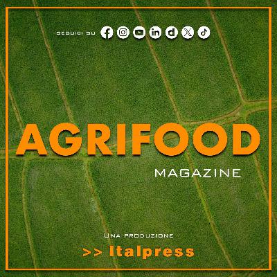 Agrifood Magazine - 26/11/2025 Agrifood Magazine - 26/11/2025