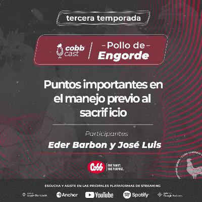 #05 Puntos importantes en el manejo previo al sacrificio