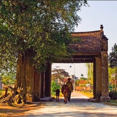 Nẻo về ngõ quê