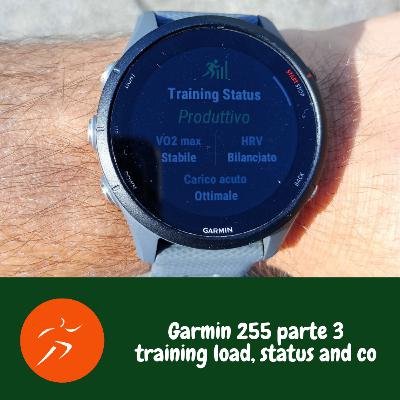 Garmin 255 parte 3 - Training load, status and co