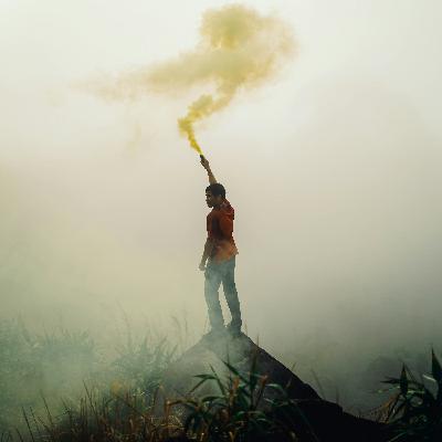 The Signal and the Story