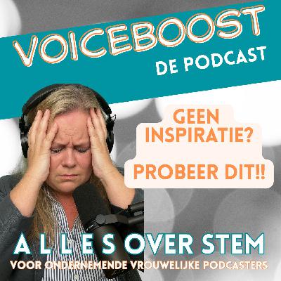 Ik had geen inspiratie voor mijn podcastaflevering … en toen dit #114