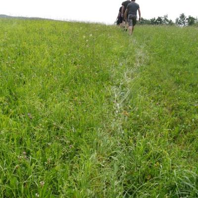 Mit unseren Vorfahren gehen