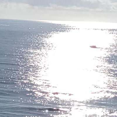 ITB | Genesis 38 ITB | Genesis 38