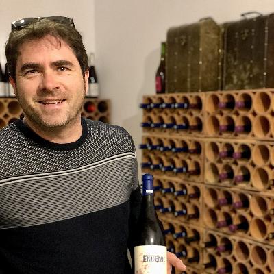 Va de vi – Raul Ferrer-Gallego, enòleg – S03E17 Va de vi – Raul Ferrer-Gallego, enòleg – S03E17