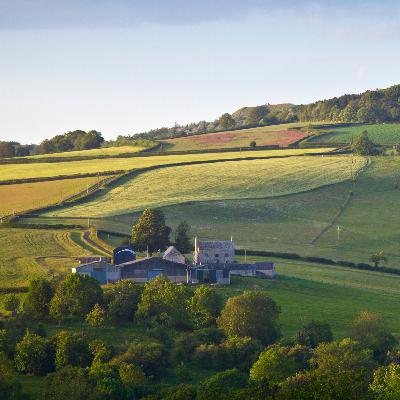 #33 - Approaches to Valuing an Agricultural Tenancy #33 - Approaches to Valuing an Agricultural Tenancy