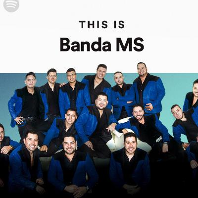BMS
