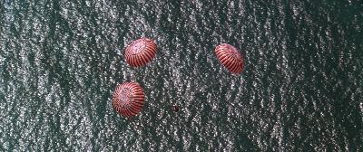 Minute 131: NAVY 66 Minute 131: NAVY 66