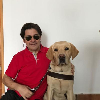 Homenaje a Balú. Mi perro guía IA Homenaje a Balú. Mi perro guía IA