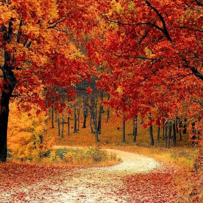 EL OTOÑO ESPIRITUAL