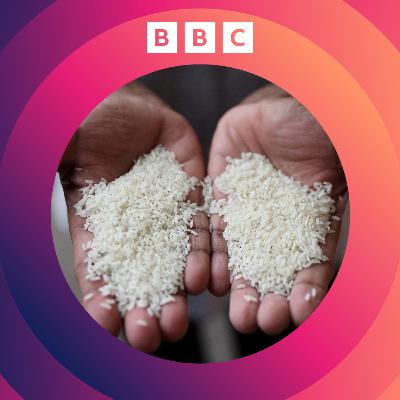Could ancient rice seeds help fight climate change? Could ancient rice seeds help fight climate change?
