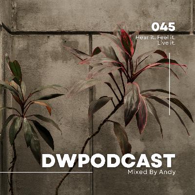 Episode 45: DWPodcast 045 // Andy