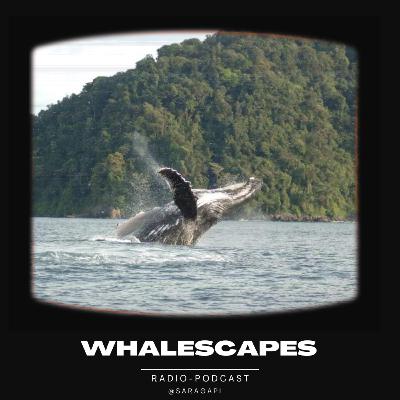 Whalescapes: sonidos del universo Whalescapes: sonidos del universo