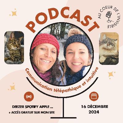 Communication télépatique/intuitive avec les animaux et les humains :)