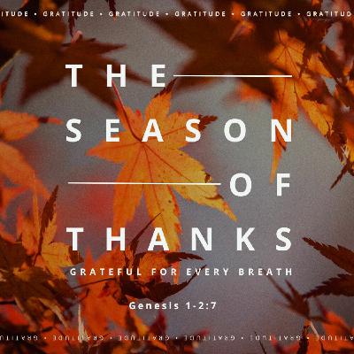 The Season of Thanks: Grateful for Every Breath
